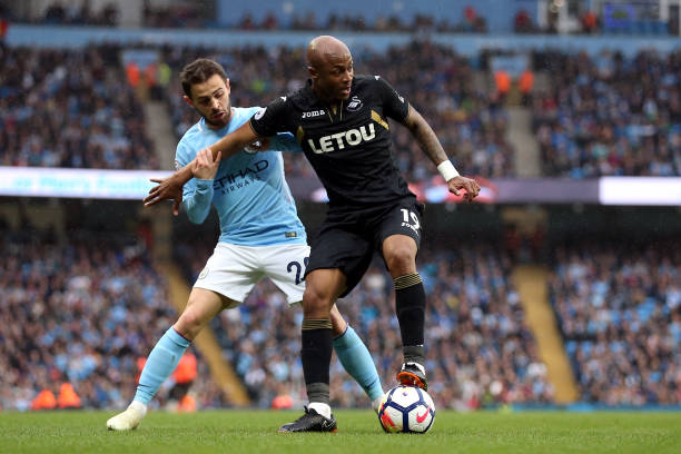 保持稳定的 保持稳定的